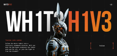 Сайт WH1T3 H1V3